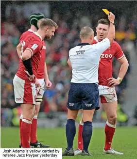  ?? ?? Josh Adams is yellow-carded by referee Jaco Peyper yesterday