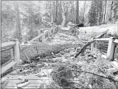  ?? YOSEMITE NATIONAL PARK ?? A storm with winds up to 100 mph toppled trees on Jan. 18 and Jan. 19 in Mariposa Grove in Yosemite National Park. The grove reopened to the public on May 5.