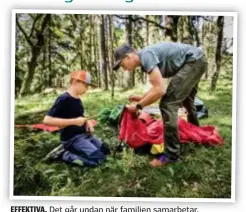  ??  ?? EFFEKTIVA. EFFEKTIVA Det går undan när familjen samarbetar samarbetar.