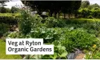  ?? ?? Veg at Ryton Organic Gardens