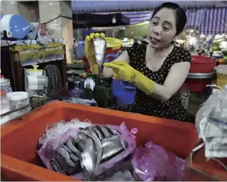  ?? The Yomiuri Shimbun ?? A wholesaler at a fish market in the Vietnamese city of Cao Lanh shows a fish as she points out that the number of fish caught in the wild has dropped drasticall­y.