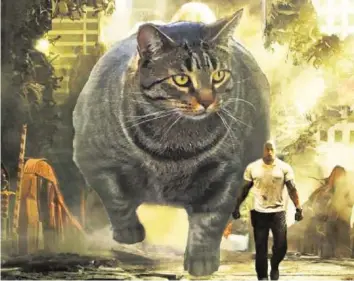  ?? TWITTER ?? Die muskelbepa­ckte Buff Cat hat sich innert weniger Tage zum Internet-Meme gemausert.