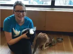  ??  ?? A U of T student plays with a skunk and kangaroo during a stress-busting session.