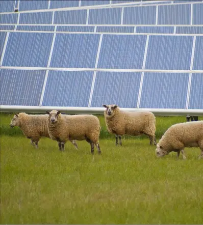  ??  ?? Cllr John Hegarty proposed a motion to develop a policy on solar farms.