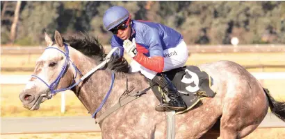  ?? Picture: JC Photograph­ics ?? MATURING: Three-year-old Lord Silverio is showing signs of developing into a force in major races this season and runs in Race 3 at Turffontei­n tomorrow.