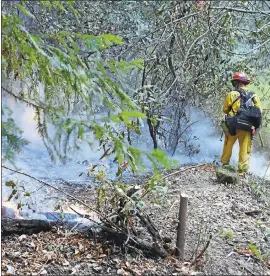  ?? DAN HONDA — STAFF ?? Firefighte­rs work in steep terrain as they battle the Bear Fire. The terrain has accounted for most of the seven injuries suffered by crews battling the wildfire.