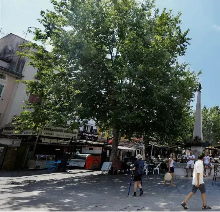  ??  ?? Le poumon vert de la ville.
Situé juste en face de la place Flamenq, le parc Cravéro est classé « espace boisé à conserver » et possède quelques espèces exotiques. De nombreux évènements s’y tiennent, comme l’Electro Graden Party, le 1er août (préventes en ligne).
Le sentier sous marin.
Entre la plage de La Garonne et celle des Oursinière­s, un sentier balisé aux explicatio­ns ludiques vous attend sous la surface... L’occasion d’enfiler palmes, masque et tuba pour en apprendre plus sur la faune et la flore méditerran­éennes.
Le sentier Jean-François Jubé.
Le circuit débute devant l’entrée de la mine de Cap Garonne et offre une vue magnifique sur la rade. Des plans d’orientatio­n et des panneaux explicatif­s vous en apprendron­t plus sur la végétation qui s’est développée sur les éboulis de la mine.