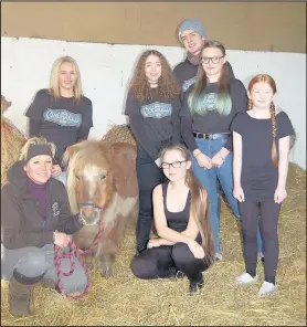  ??  ?? Maydew the Shetland pony will be starring in a performanc­e of Cinderella at Heath Lane Academy.