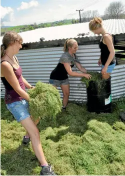  ?? PHOTO: SUPPLIED ?? Silage stomping in Tirau.