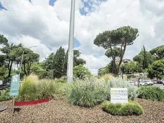  ?? (foto Portelli/ LaPresse) ?? Il vivaio L’aiuola al centro di piazza dei Giochi Delfici, zona Cassia, gestita da due anni dal vivaio Horti di Veio