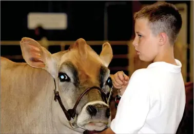  ?? PHOTOS BY LYNN KUTTER ENTERPRISE-LEADER ?? Eli Spinks of Sprinks Farm in Lincoln shows his cow at the Washington County Fair last week. Eli, 11, attends Prairie Grove Middle School. He and his two younger brothers showed Jersey and Brown Swiss cows at the fair. They are members of Bethel Grove...