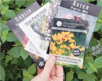  ?? NORFOLK BOTANICAL GARDEN ?? With spring planting season just around the corner, take time to carefully choose your garden seeds. Your choices could have an impact beyond your own garden.
