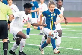  ?? KYLE TELECHAN/POST-TRIBUNE ?? Munster’s Afam Oniah, left, and Highland’s Trevor Young chase after the ball during their game on Wednesday.