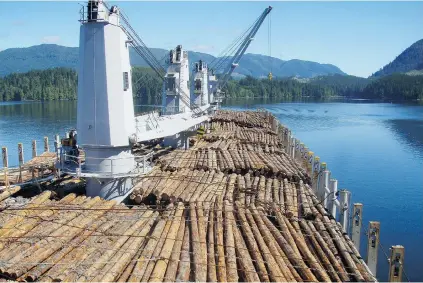  ?? LEMARE LAKE LOGGING LTD./ PNG FILES ?? Topping the list of B. C. goods heading to China was $ 1.4 billion worth of lumber. Next was chemical wood pulp, soda or sulphate at $ 1.3 billion, followed by coal ($ 1.2 billion) and copper ores ($ 822 million).