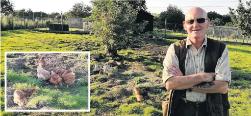  ??  ?? Robert Atkinson at his allotment in Rishton after the theft and (inset) some of the hens left behind