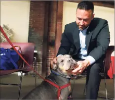  ?? Paul Chinn / The Chronicle file ?? Jarrod Wise of the Better Business Bureau pets Sam, a pitbull mix at the Berkeley Humane animal shelter in Berkeley, Calif. A study released by the BBB reports that tens of thousands of consumers have been scammed by fraudulent pet breeders.