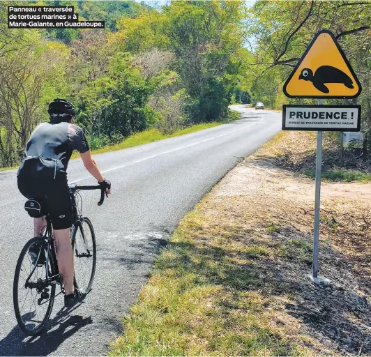  ?? PHOTOS FRÉDÉRIQUE SAUVÉE, AGENCE QMI ?? Panneau « traversée de tortues marines » à Marie-Galante, en Guadeloupe.