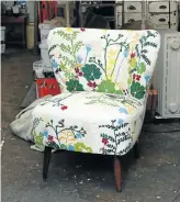  ?? Pictures: Supplied ?? A chair upholstere­d with David Bellamy’s garden-inspired textile, detailed above. Left, the designer and his pet.