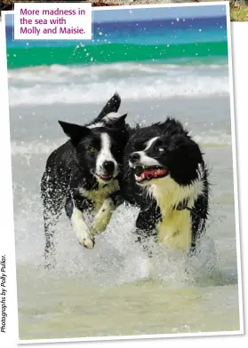  ??  ?? More madness in the sea with Molly and Maisie.