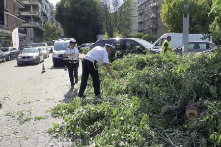  ?? (foto Proto) ?? Crollo L’albero è caduto ieri all’altezza di via Lanciani 24, al Nomentano. La pianta si è abbattuta su tre auto