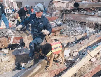  ?? STEPHEN CHERNIN/AP 2011 ?? James Symington and his German shepherd, Trakr, search through rubble at the World Trade Center tower collapse site in New York. Symington and Trakr were among the first search and rescue teams to arrive at ground zero.