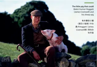  ??  ?? The little pig that could Babe’s Farmer Hoggett (James Cromwell) and his sheep-pig
有本事的小豬《寶貝小豬嘜》中的農夫Hogget­t（James Cromwell飾）與他的牧羊豬