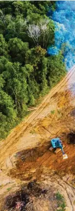  ??  ?? Die Abholzung des Regenwalds zumagraris­chen Landgewinn befeuert den Klimawande­l