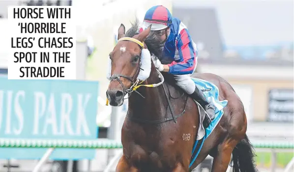  ?? Picture: Grant Peters/Trackside Photograph­y ?? Soxagon, ridden by jockey Brad Stewart, wins the ATC trophy on the Gold Coast.