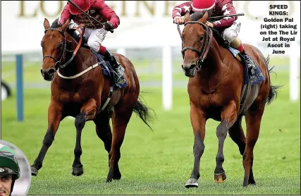  ??  ?? SPEED KINGS: Golden Pal (right) taking on the The Lir Jet at Royal Ascot in June