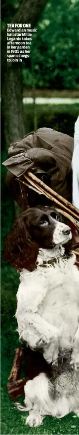  ??  ?? TEA FOR ONE Edwardian music hall star Millie Legarde takes afternoon tea in her garden in 1905 as her spaniel begs to join in