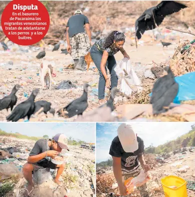  ?? Efe ?? INDIGENCIA. Los migrantes venezolano­s buscan entre la basura restos de comida en Pacaraima.