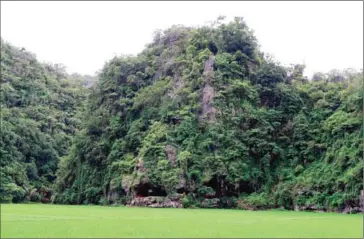  ?? AFP ?? This undated handout photo shows the Leang Tedongnge cave in Sulawesi, Indonesia.