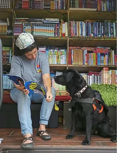  ?? American Humane photos ?? Labrador retriever Dolly Pawton, 4, is the finalist for service dog.