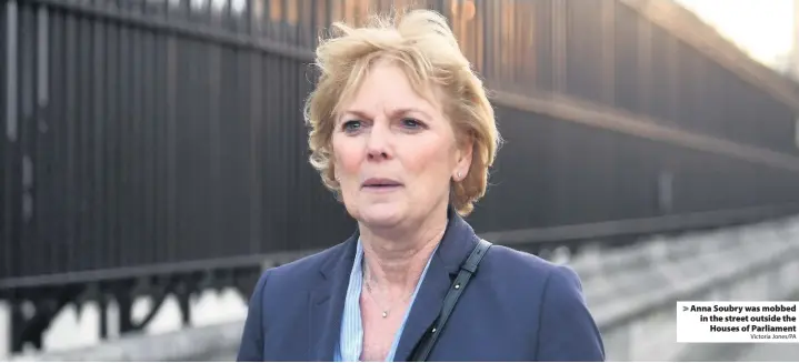  ?? Victoria Jones/PA ?? Anna Soubry was mobbed in the street outside theHouses of Parliament