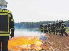  ?? FOTO: FEUERWEHR MENGEN ?? Ein Flächenbra­nd kann nicht nur mit Wasser, sondern auch mit Handwerkze­ug gelöscht werden.