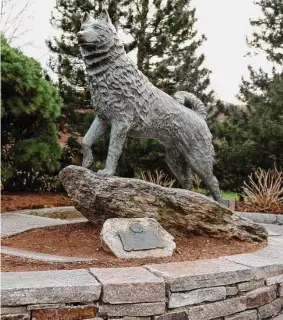  ?? Tyler Sizemore/Hearst Connecticu­t Media ?? A statue of Jonathan the Husky at the UConn Storrs campus. A bill would designate the Siberian husky as the state dog and “shelter pets” as the state pet.