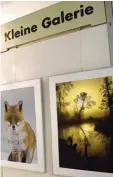  ?? Foto: Adrian Bauer ?? Die „Kleine Galerie Königsbrun­n“wird am morgigen Mittwoch im Naturmu seum eröffnet.