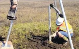  ?? Cal State Fullerton ?? RESEARCHER­S INSERT a pipe into sediment to extract a cross section that they’ll use to determine the seismic history of the Seal Beach area.