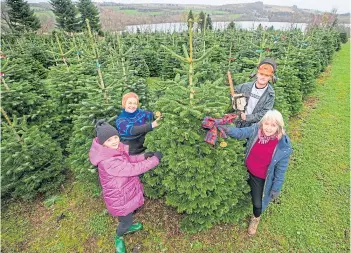  ?? ?? GENERATION­S: Kelly Mcintyre with her daughter Seren Davies, her son Conall Mcintyre and her mum Jean Mcintyre. Picture by Steve Macdougall.