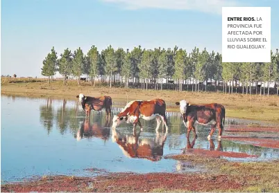  ??  ?? ENTRE RIOS. LA PROVINCIA FUE AFECTADA POR LLUVIAS SOBRE EL RIO GUALEGUAY.