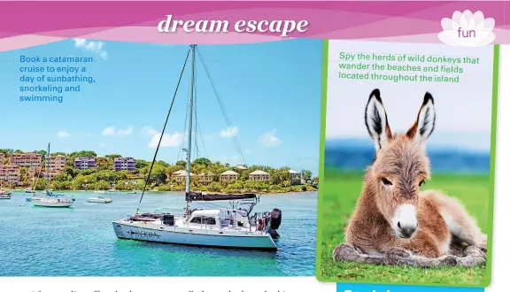  ??  ?? Book a catamaran cruise to enjoy a day of sunbathing, snorkeling and swimming
Spy the herds of wild donkeys that wander the beaches and fields located throughout the island