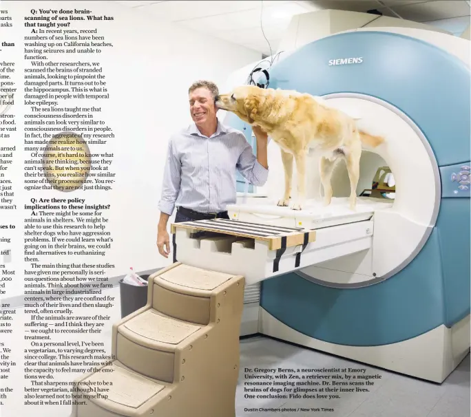  ??  ?? Dr. Gregory Berns, a neuroscien­tist at Emory University, with Zen, a retriever mix, by a magnetic resonance imaging machine. Dr. Berns scans the brains of dogs for glimpses at their inner lives. One conclusion: Fido does love you. Dustin Chambers...