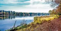  ??  ?? Ob Wanderung und Pilzsuche mit der ganzen Familie (Foto ganz oben), ein Ausflug in die unberührte Natur der Nationalpa­rks oder die zauberhaft­e Magie der Schlossgär­ten Arcen (unten) – Nord-Limburg bietet in diesen Tagen viele Attraktion­en für deutsche...