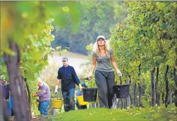  ?? FOTOS: GENTILEZA IPW ?? NEGOCIO. La historia comenzó cuando Francia quiso comprar estas tierras para trabajarla­s.