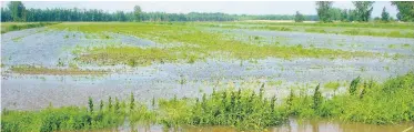  ??  ?? Inondation à la Ferme Caplette à la suite des pluies des 10 et 11 juin 2015.