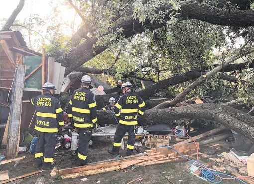  ?? COURTESY OF ANNE ARUNDEL COUNTY FIRE ?? Twenty-one people were transporte­d to area hospitals after a tree fell Sunday evening into a Pasadena garage, fire officials said.
