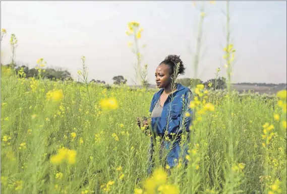  ??  ?? Head space: Dineo Boshomane standing in a field of Chinese spinach, which she grows on her farm near Diepsloot. Photo: Ihsaan Haffejee