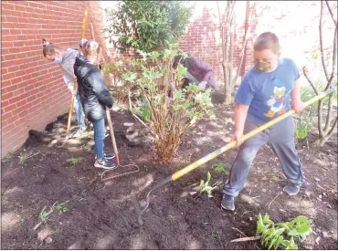  ?? DAN SOKIL — MEDIANEWS GROUP ?? York Avenue Elementary School students rake and spread mulch along the front wall of their school as part of an Earth Day beautifica­tion project.