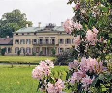  ?? FOTO: DPA ?? Im Schlosspar­k in Rastede wuchsen gegen Ende des 18. Jahrhunder­ts die ersten Rhododendr­en der Region.
