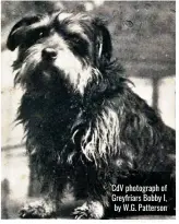  ?? ?? CdV photograph of Greyfriars Bobby I, by W.G. Patterson